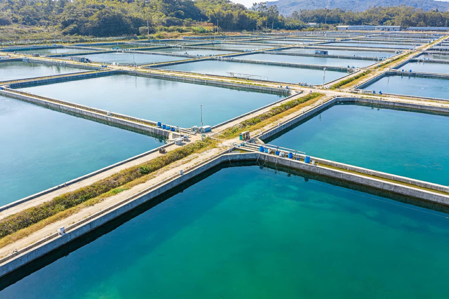 Bilanda Side-Mount Fiberglass Sand Filter for Aquaculture RAS Systems